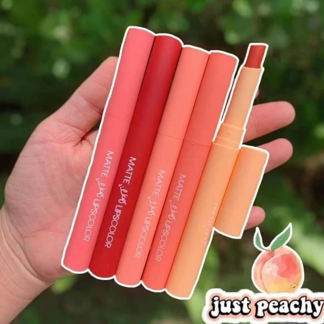 5pcs Heng Fang Velvet Matte Lipsticks Set Waterproof & Long-lasting