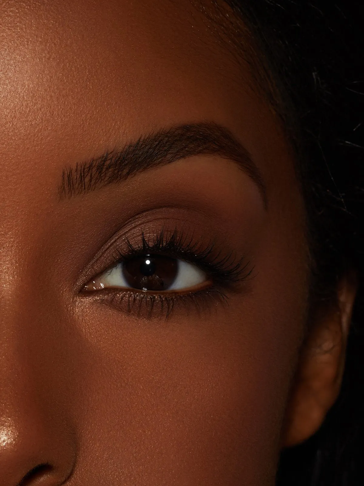 Ebony | Brow Powder