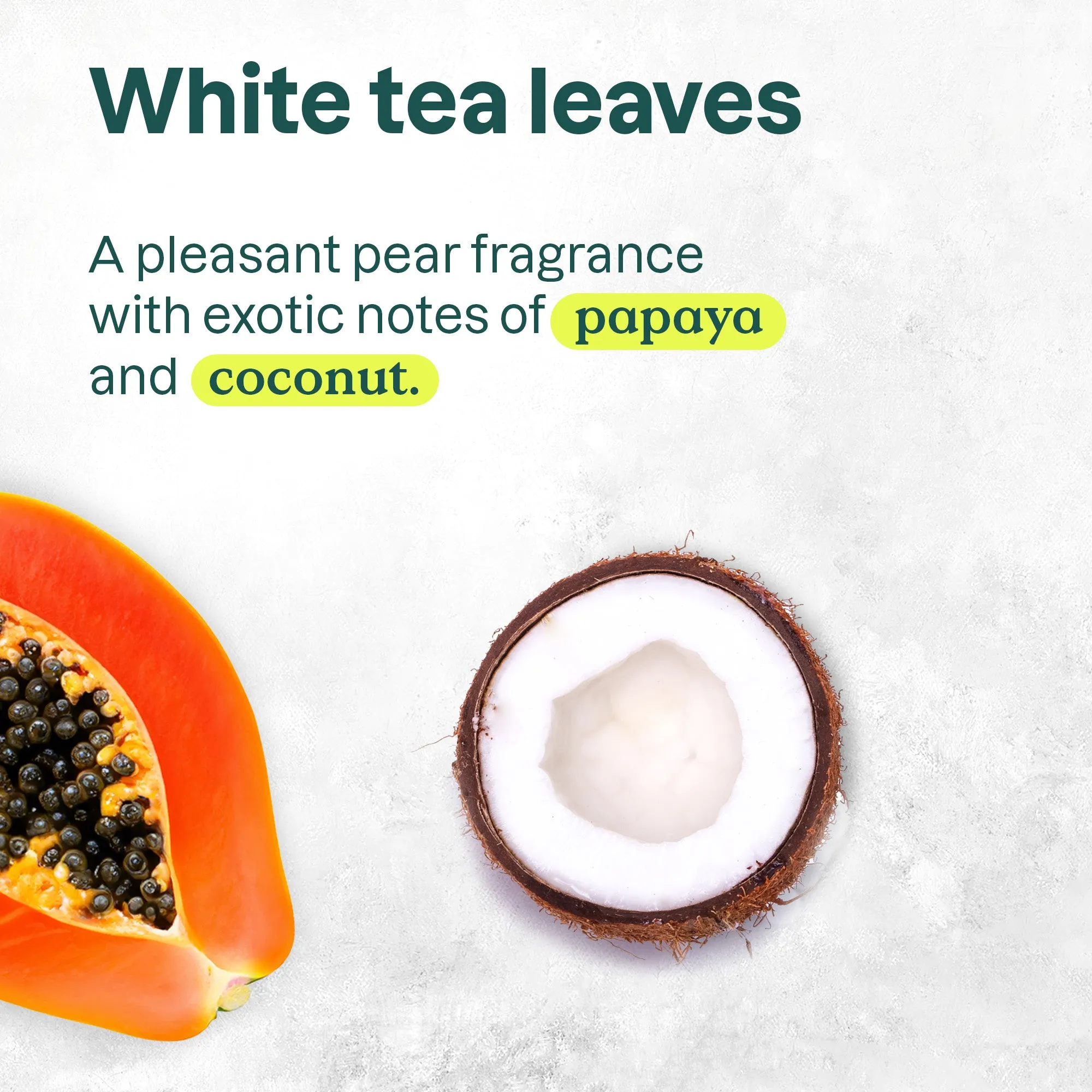 Moisture rich conditioner : SUPER LEAVES™