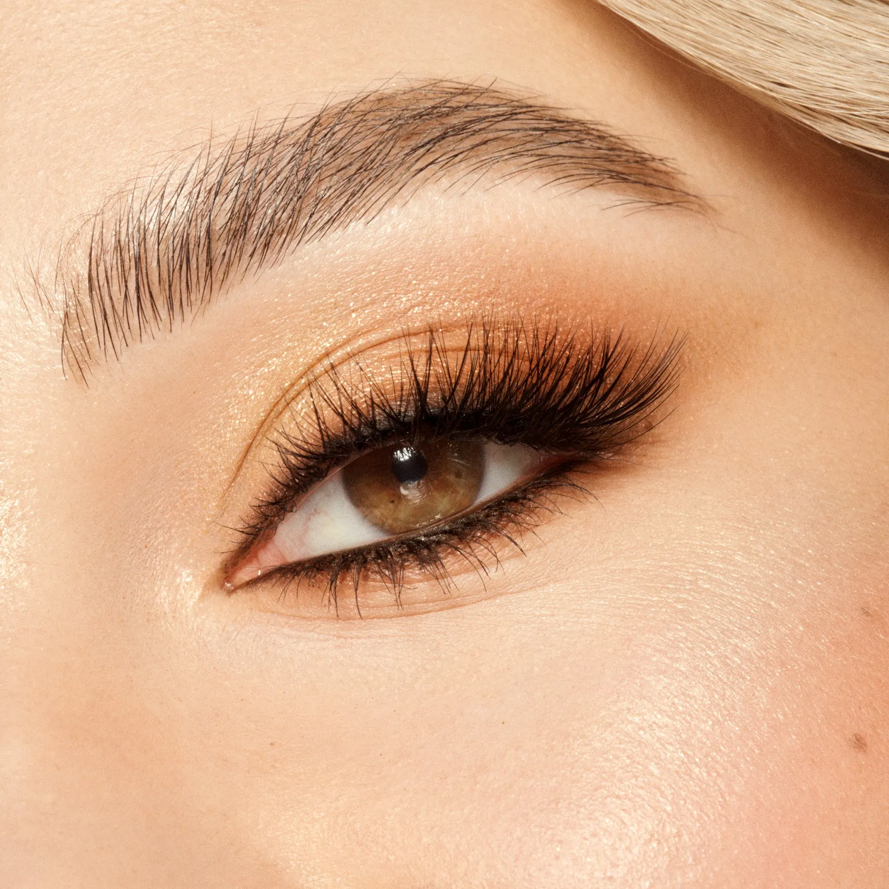 The Essential Eyeshadow Palette