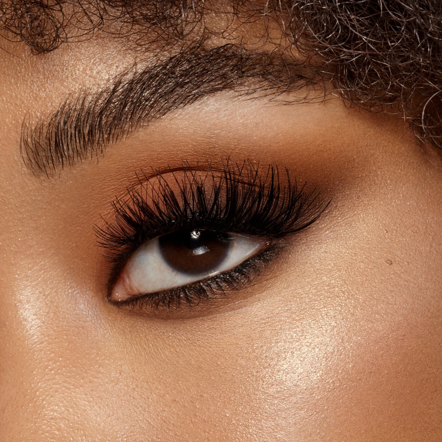 The Essential Eyeshadow Palette
